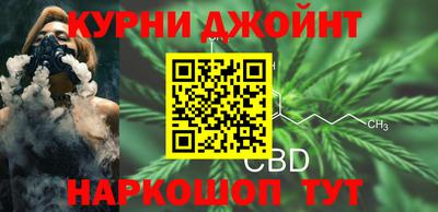 кокс Кингисепп