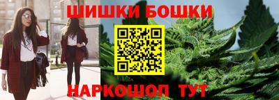 кокс Кингисепп